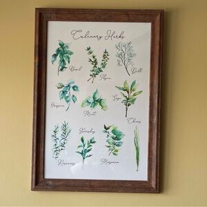 Framed Culinary Herbs Wall Art